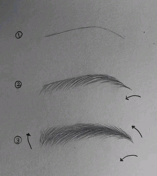 Pencil drawing on paper showing three stages of drawing an eyebrow: a thin guide line, then hair strokes, then a filled brow with arrows showing stroke direction