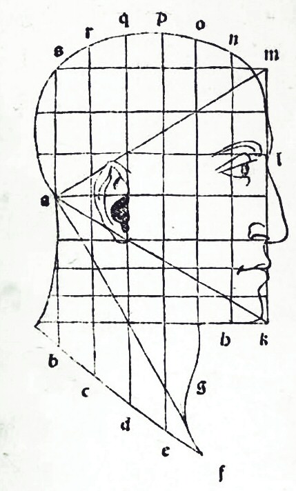Woodcut of a man's head in profile drawn over a square grid, with straight lines forming a triangle from the back of the skull to the forehead and chin, and letters marking points around the outline.